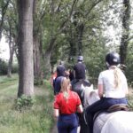 Buitenrit Drenthe